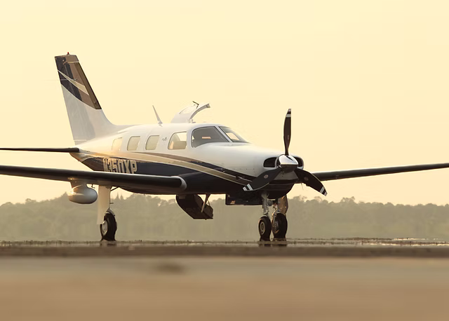 Piper M350 Performance